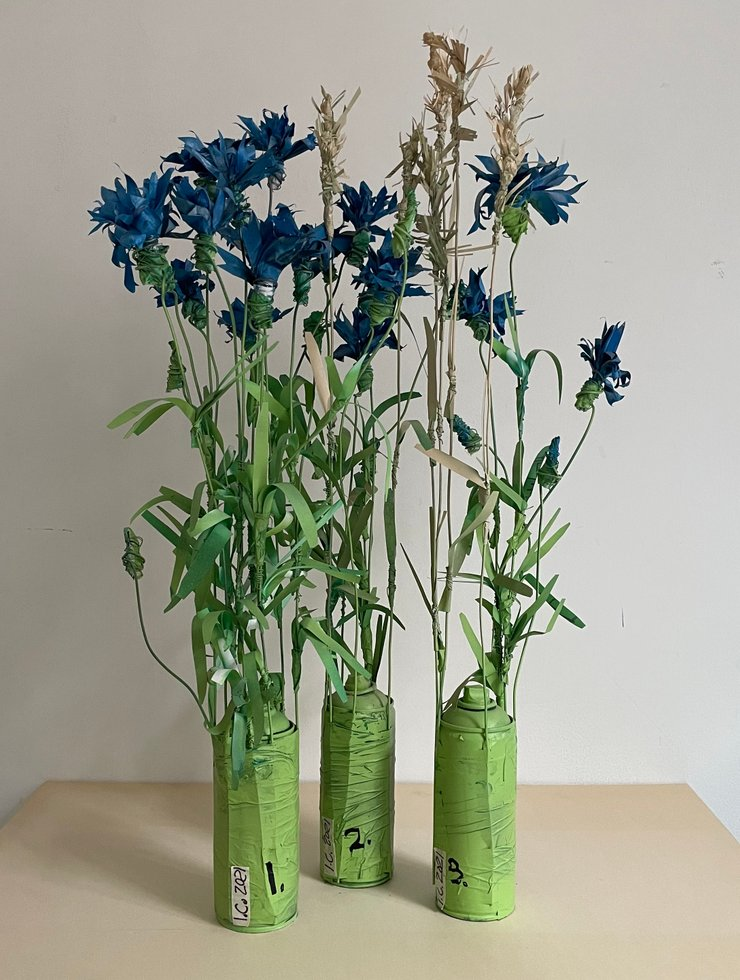 Ditch Border Flowers, Blue #1, #2, #3