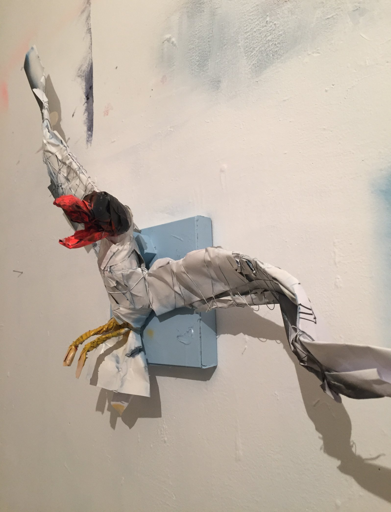 Hooded gull, early work in progress